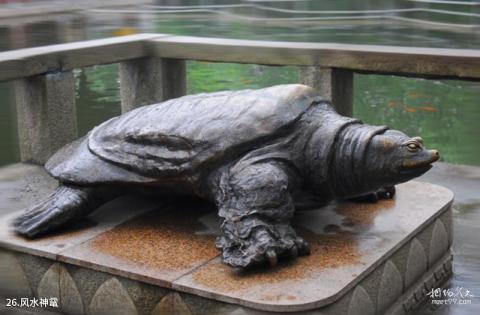 苏州西园寺旅游攻略 之 风水神鼋