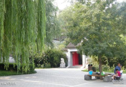 北京玲珑公园旅游攻略 之 林下活动场