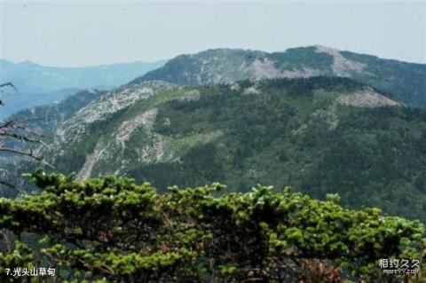 陕西周至国家级自然保护区旅游攻略 之 光头山草甸