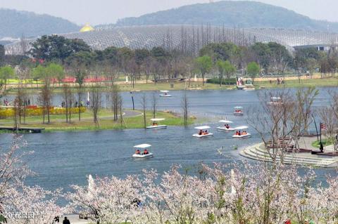 上海辰山植物园旅游攻略 之 春景园