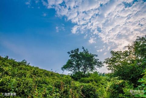 合肥浮槎山旅游攻略 之 自然景观