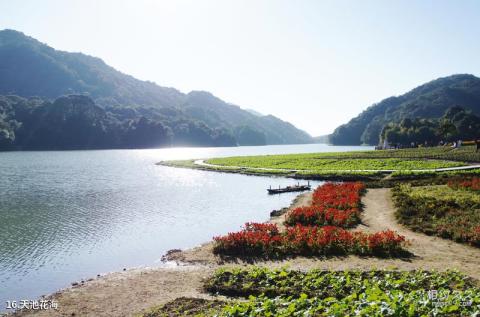 从化石门国家森林公园旅游攻略 之 天池花海