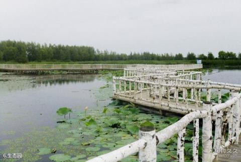 双鸭山安邦河湿地公园旅游攻略 之 生态园