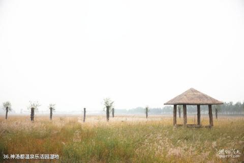 忻州市定襄凤凰山景区旅游攻略 之 神汤都温泉乐活园湿地