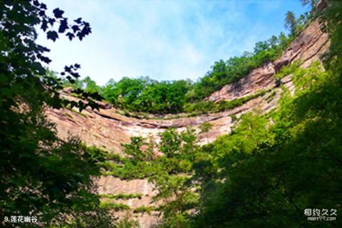 平凉莲花台风景区旅游攻略 之 莲花幽谷