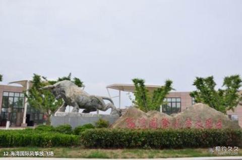 上海奉贤海湾旅游区旅游攻略 之 海湾国际风筝放飞场