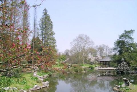 杭州植物园旅游攻略 之 植物分类区
