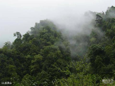 四川雅安二郎山旅游攻略 之 红灵山