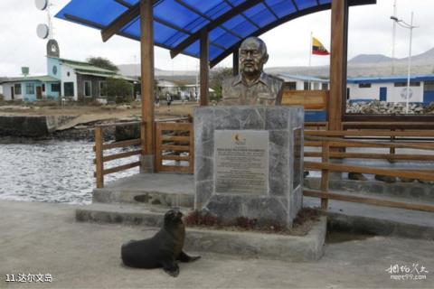 厄瓜多尔加拉帕戈斯群岛旅游攻略 之 达尔文岛