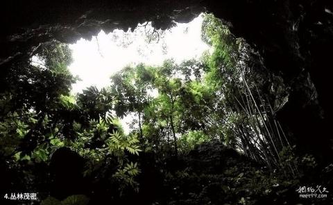 武鸣伊岭岩旅游攻略 之 丛林茂密