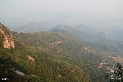 新乡辉县轿顶山风景区旅游攻略 之 森林