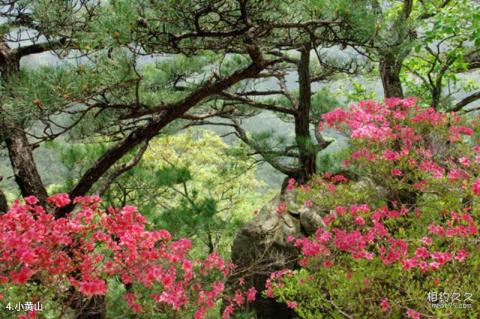 信阳市黄柏山国家森林公园旅游攻略 之 小黄山