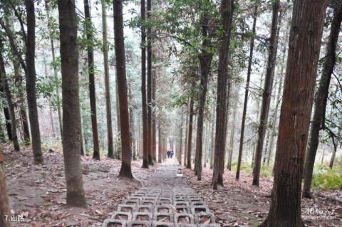 瑞士皮拉图斯山旅游攻略