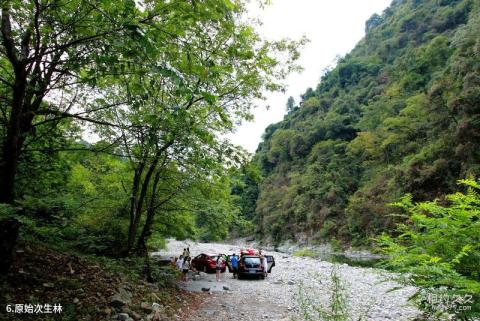 湖南借母溪国家级自然保护区旅游攻略 之 原始次生林