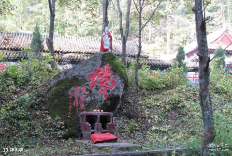 辽宁新宾和睦国家森林公园旅游攻略 之 神树寺