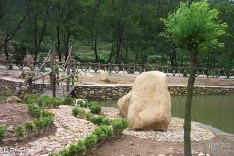 孝感双峰山风景区旅游攻略 之 森林广场