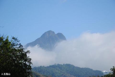 五指山热带雨林风景区旅游攻略 之 五指山