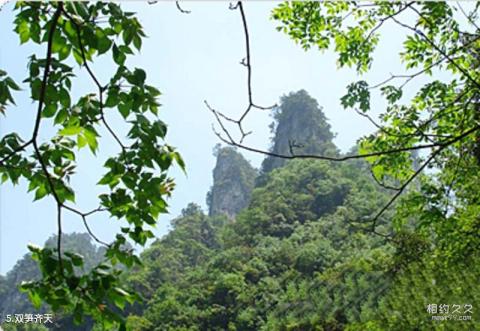 山西阳城蟒河猕猴国家级自然保护区旅游攻略 之 双笋齐天