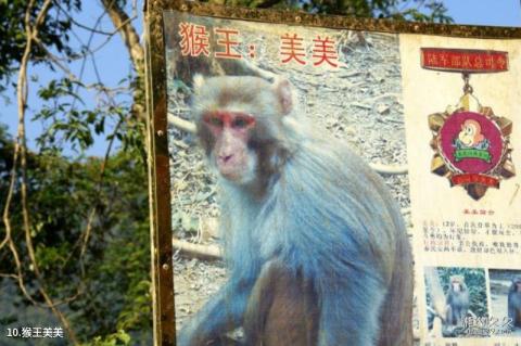 广西龙虎山风景名胜区旅游攻略 之 猴王美美