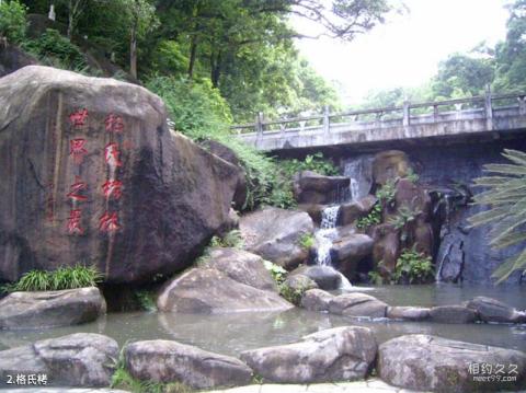 三明格氏栲国家森林公园旅游攻略 之 格氏栲