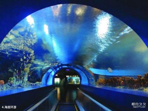 北京海洋馆旅游攻略 之 海底环游