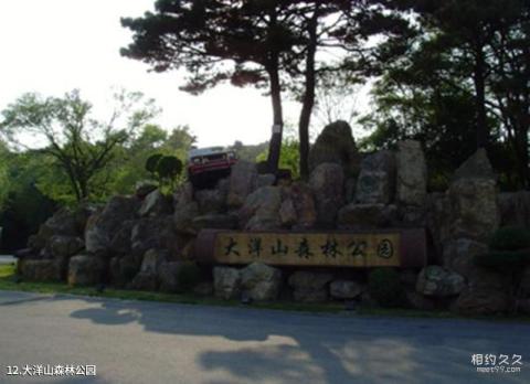 沈阳棋盘山旅游攻略 之 大洋山森林公园