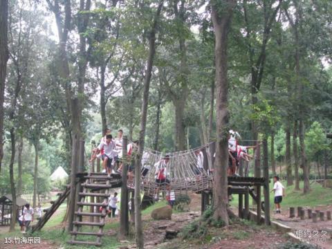 上海佘山国家森林公园旅游攻略 之 竹海乐园