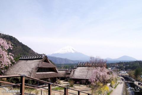 日本富士山旅游攻略 之 西湖里根场