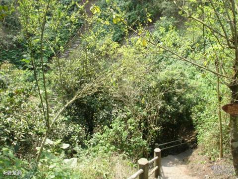 海口石山火山群旅游攻略 之 卧龙洞