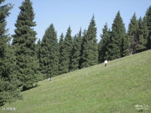 南山牧场大草原旅游攻略 之 狩猎场