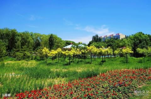 呼和浩特青城公园旅游攻略 之 植被