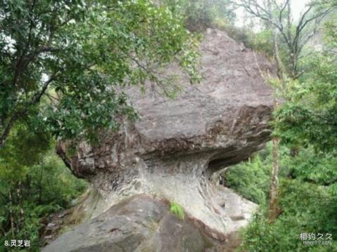 永泰青云山风景区旅游攻略 之 灵芝岩