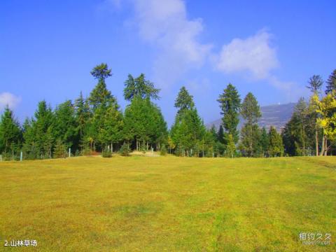 舟曲拉尕山风景区旅游攻略 之 山林草场