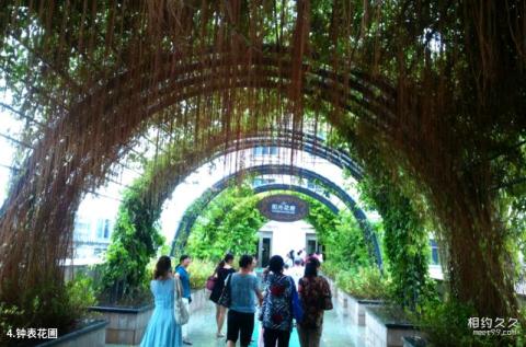 珠海罗西尼工业旅游园区旅游攻略 之 钟表花圃