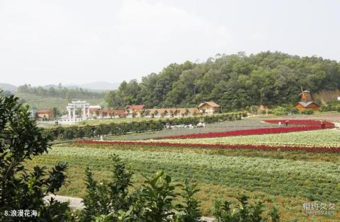 揭阳广东望天湖生态旅游度假区旅游攻略 之 浪漫花海