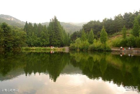 鲁山国家森林公园旅游攻略 之 鲁山植物园