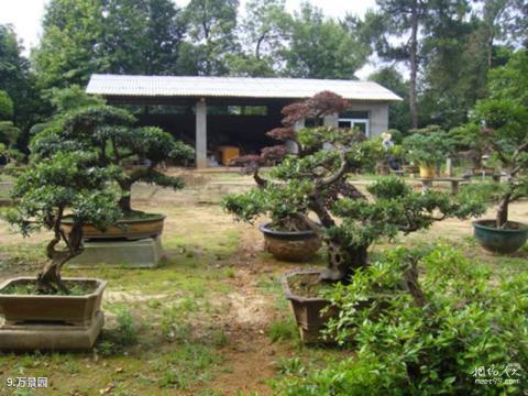 岳麓山风景名胜区旅游攻略 之 万景园