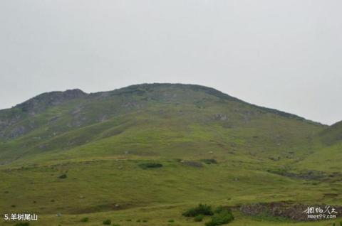 福建小练岛旅游攻略 之 羊树尾山