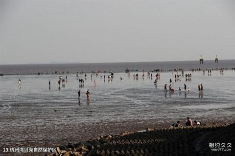 上海奉贤海湾旅游区旅游攻略 之 杭州湾贝壳自然保护区