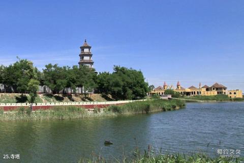 河北衡水湖国家级自然保护区旅游攻略 之 寺塔