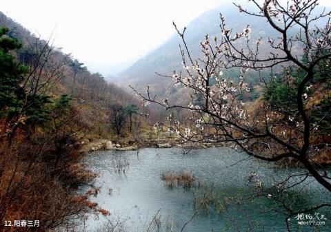 长清卧龙峪旅游攻略 之 阳春三月