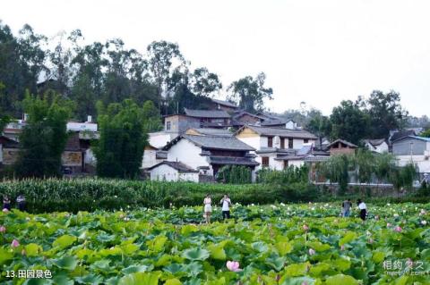 楚雄姚安光禄古镇旅游攻略 之 田园景色