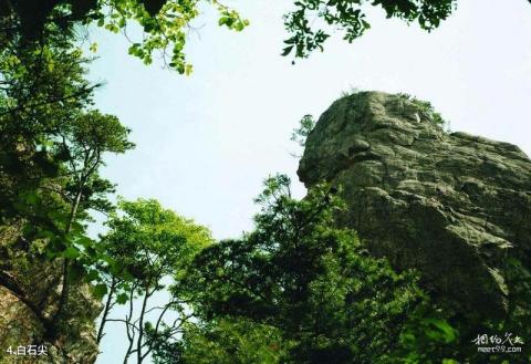 南阳伏牛山老界岭景区旅游攻略 之 白石尖