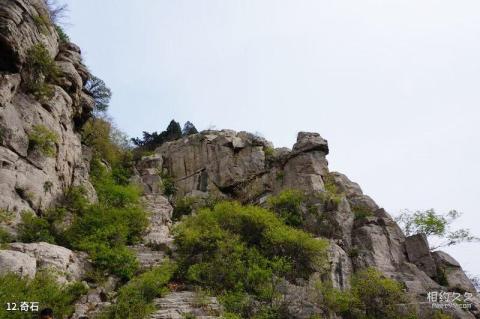 东平白佛山旅游攻略 之 奇石