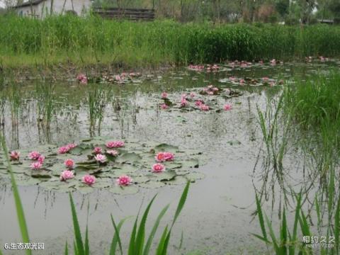 泰州溱湖风景区旅游攻略 之 生态观光园