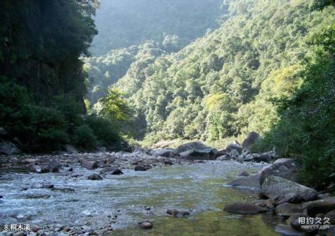 武夷山青龙大瀑布旅游攻略 之 桐木溪