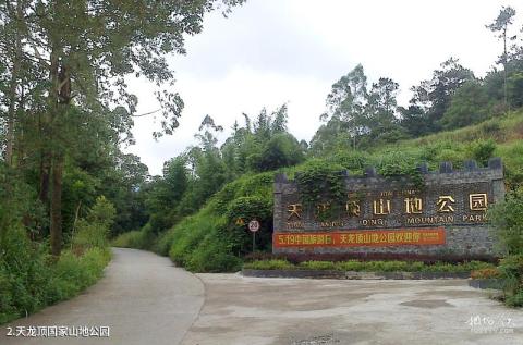 岑溪天龙顶国家山地公园旅游攻略 之 天龙顶国家山地公园