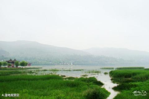 陇南西和晚霞湖景区旅游攻略 之 湿地观赏区