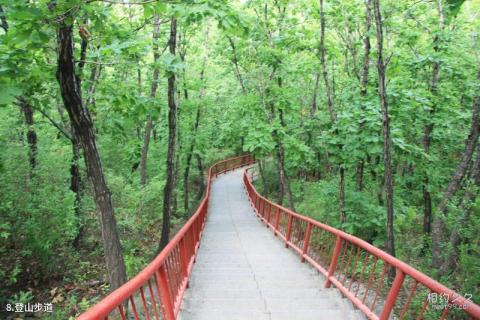 七台河桃山公园旅游攻略 之 登山步道