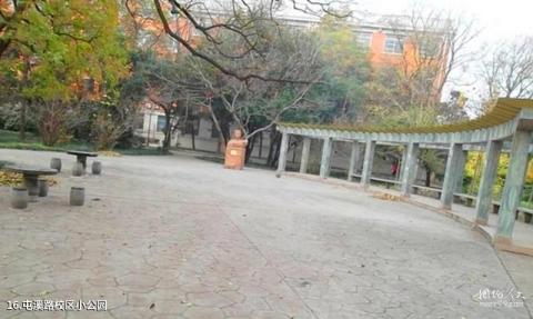 合肥工业大学校园风光 之 屯溪路校区小公园